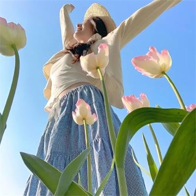 青春笨蛋少年不做怀梦少女的梦配图